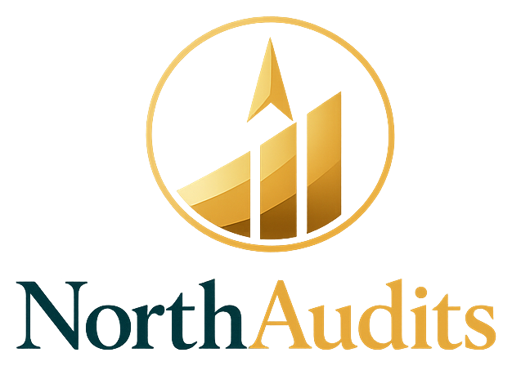 Logo for North Audits - Professional Financial Services